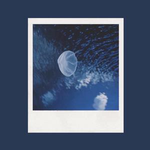 粉嫩馒头一线天对下联句
